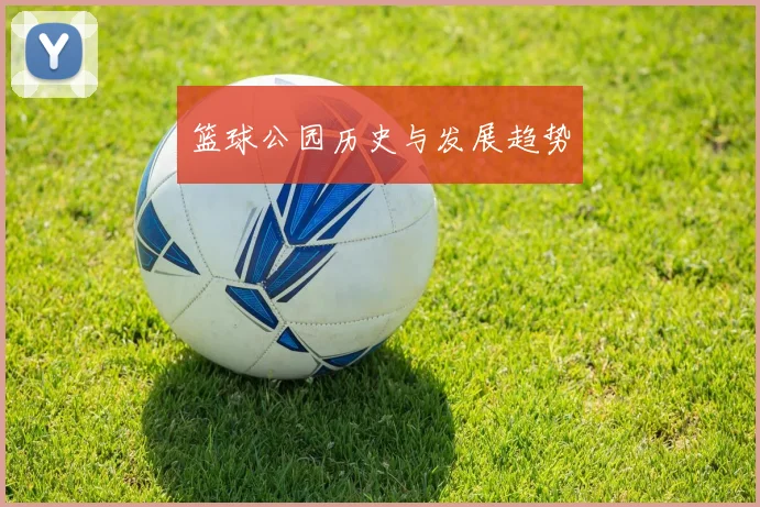篮球公园历史与发展趋势