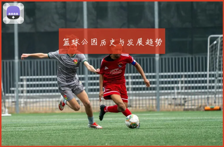 篮球公园历史与发展趋势