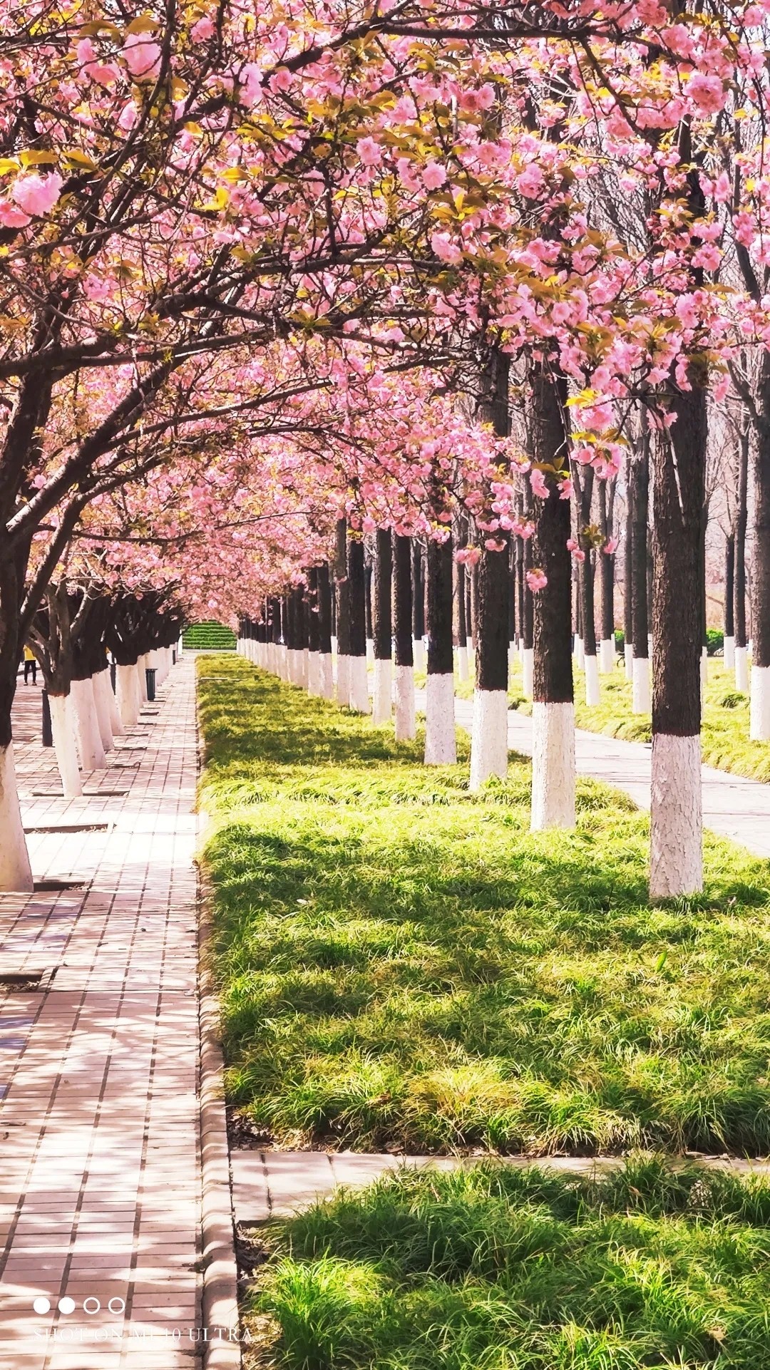 825f92b2490f4c2580e1206ffd21fdc2.jpg 825f92b2490f4c2580e1206ffd21fdc2.jpg