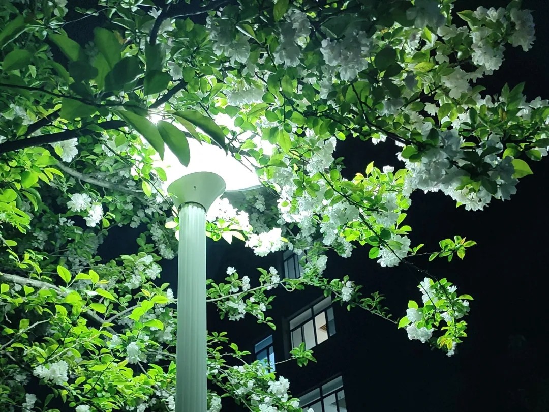 fd7b41ced4b845dd8146c7f878df3e1a.jpg fd7b41ced4b845dd8146c7f878df3e1a.jpg