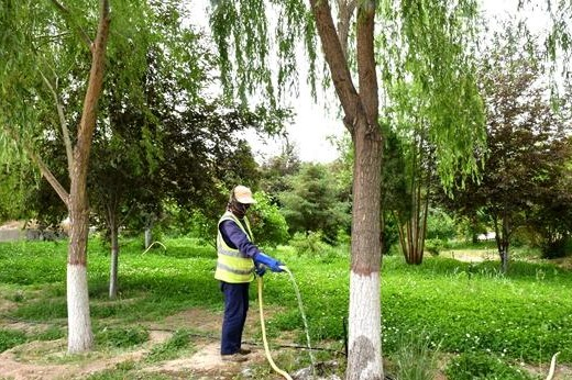 f86b77c5082a40dd80da93899f8662b0.png 图片2.png